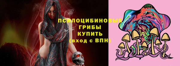 дурь Алексеевка