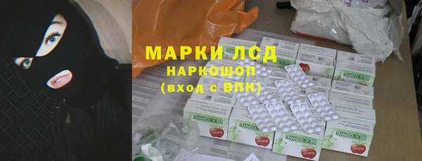 индика Алексин