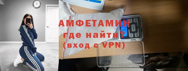 индика Алексин