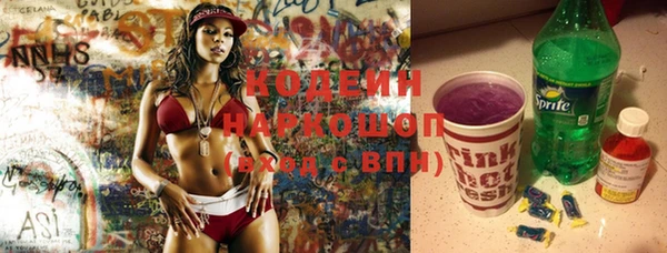 индика Алексин
