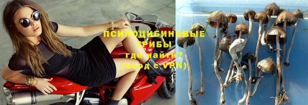 индика Алексин