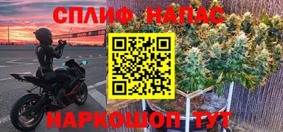 дмт Пугачёв