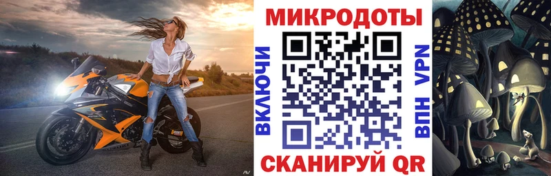 наркотики Арсеньев Псилоцибиновые грибы Cubensis