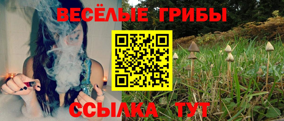 Арсеньев  наркота  Вход с VPN  Псилоцибиновые грибы Cubensis 